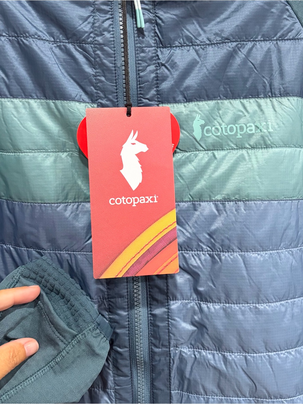 Cotopaxi Men's Large Capa Hybrid Insulated Hooded Jacket Blue Nwt Scuba Hood — image 4 of 8